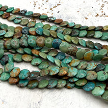 Load image into Gallery viewer, Turquoise Coin Strand
