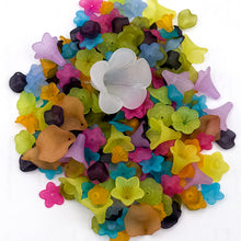 Load image into Gallery viewer, Wildflower Acrylic Bead Mix
