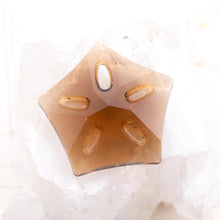 Load image into Gallery viewer, Discontinued Style! 30mm Smoked Topaz Sand Dollar Premium Austrian Crystal Pendant
