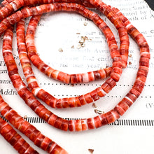 Load image into Gallery viewer, Pre-Order 4mm Baja Spiny Oyster Heishi Bead Strand
