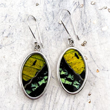Load image into Gallery viewer, Sterling Silver Butterfly Oval Earrings - Tucson Find
