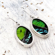 Load image into Gallery viewer, Sterling Silver Butterfly Oval Earrings - Tucson Find
