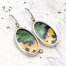 Load image into Gallery viewer, Sterling Silver Butterfly Oval Earrings - Tucson Find
