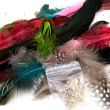 Load image into Gallery viewer, Destash Feather Earring Kit
