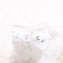 Load image into Gallery viewer, Crystal Bear Claw Premium Crystal Charm Pair
