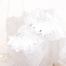 Load image into Gallery viewer, Crystal Bear Claw Premium Crystal Charm Pair
