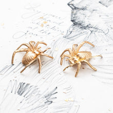 Load image into Gallery viewer, Creepalong Solid Brass Spider Pair - No Holes
